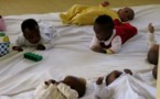 Paludisme : présentation d'un candicat vaccin capable de protéger les nourrissons