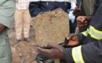 LUTTE CONTRE LE TRAFIC DE DROGUE : 177 kg de chanvre indien saisis par la Douane de Karang.