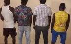 Vol de moutons chez Boy Kaïré / Quatre présumés voleurs arrêtés.