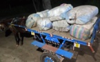 LUTTE CONTRE LE TRAFIC INTERNATIONAL DE STUPEFIANTS: 456 kg de chanvre indien saisis en 24h.