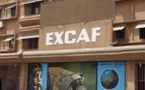 Excaf Telecom perd son procès contre TF1