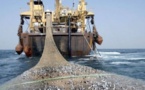 Licences de pêche : «Fu Yuan Yu», l’autre scandale !