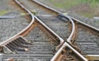 Transport : Plaidoyer des députés pour le retour du trafic ferroviaire