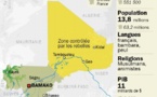 Comprendre le syndrome malien et y apporter des solutions responsables