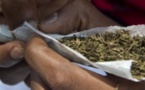 Les deux tourtereaux vendaient de la drogue