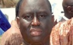 Aliou Sall, frère du Président, sur les Locales 2014 : «Fatick, c’est gagner d’avance ; je préfère la banlieue de Dakar»