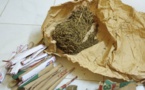 Offre et cession de chanvre indien : Ismaïla Diop prétendant faire usage de la drogue pour soigner son asthme, écope de 2 ans de prison ferme.