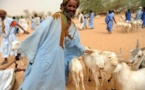 En Mauritanie, 75.000 Maliens échoués dans le désert ont besoin d’aide, alerte MSF