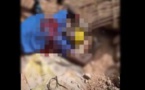 Actes regrettables de vandalisme, mort de Cheikh Coly... Voici la réaction du gouvernement du Sénégal!