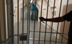 Saisie de 12 kg de drogue à Ziguinchor: Le film de l'évasion spectaculaire du dealer !
