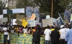 Marche du Pds à Mbacké : Comment le Pds s'organise -t-il?