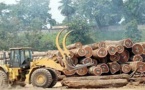 Les exploitants forestiers en deuil : l’explosion d’une jante de pneu fait deux morts