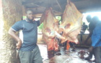 Pénurie de viande à Kolda : Rareté et cherté de la viande, bouchers et tannerie en sursis…