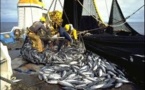 Sénégal : 300 milliards FCFA générés par la pêche en 2012 !