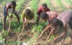 Exploitation des enfants : 152 millions d’enfants travaillent dans le monde et plus de la moitié sont victimes d’esclavage et de prostitution