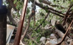 Gambie: 10 morts dans une tempête, un millier de sans abri à travers le pays