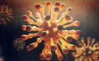 Covid-19 : Le variant Lambda, plus résistant au vaccin, découvert
