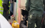 Suite des opérations de la légion-ouest de la gendarmerie : Plusieurs interpellations opérées, hier , à Hann