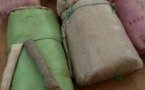 Diourbel: 55 kilos de chanvre indien saisis, trois suspects arrêtés