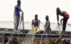 À Soumbédioune, pêcheurs et mareyeurs impactés par la rareté du poisson noble