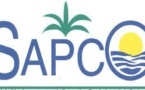 La Sapco vers le dépot de bilan