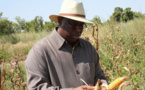 Macky Sall réitère son appel pour un retour à l’agriculture