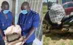 Sangalkam-Bambilor-Keur Ndiaye Lô : La gendarmerie arrête une quinzaine