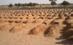 Inhumation en catimini de ses deux talibés: L'autopsie, ce que risque le maître coranique