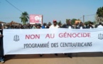 La France se prépare à intervenir en Centrafrique