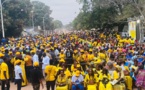 Locales- Kolda : marée jaune à Sikilo pour Mame Boye Diao