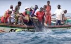 Mort atroce de 5 pêcheurs aux larges des cotes sénégalaises : l’unique rescapé revient sur le film du drame