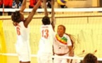 Volleyball - Éliminatoires mondial 2014 : Le Sénégal termine 3ème