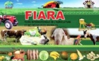 15ème Edition de la (FIARA) : 700 exposants, 14.000 visiteurs par jour