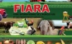 Economie-FIARA 20014-M. Oumar Baldé de la FEPROBA affiche son optimisme : « Le riz local est très bien apprécié par les populations de Dakar"
