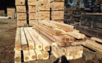 Casamance anéantissement de l’industrie forestière par l’armée : En Gambie, la scierie de Salif Sadio tourne au ralenti…