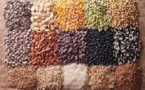 Kaolack - Mise en place des semences et intrants agricoles : Les producteurs toujours dans l'impasse
