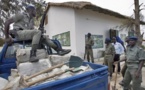 Soumbédioune : Plus de 500 kilogrammes de chanvre indien saisis(Gendarmerie)