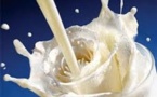 La Journée internationale du lait sera célébrée à Kolda