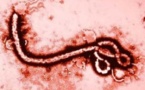 Le virus Ebola fait 4 nouvelles victimes en Sierra Leone