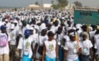 Popenguine 201 4, les jeunes de chrétiens de Ziguinchor vont aussi marcher. Ils sont plus d’une centaine à faire le déplacement jusqu’à Dakar pour participer à la marche  de cette 126ème édition du pèlerinage marial de Popenguine.