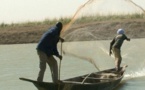 UNE HISTOIRE DE VOL DE POISSON VIRE AU DRAME !