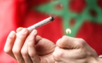 Maroc : La production et la vente du yamba légalisées
