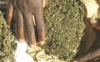 Ouakam : la DIC fait tomber deux dealers