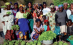 Le Sénégal parmi les trois pays visés par une campagne de vulgarisation des droits fonciers des femmes