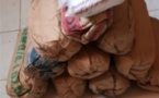 Nguéniène : La gendarmerie de Joal saisit 305 kg de drogue, un suspect arrêté