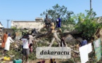 Fortes pluies à Kaolack: Un baobab s'effondre sur une maison: Une vingtaine de personnes de nationalité bissau- guinéenne blessée.