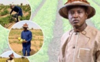 Agriculture : 700 tracteurs annoncés par le ministre Aly Ngouille Ndiaye