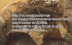 Trafic de drogue: La gendarmerie de Joal saisit 100 kg et arrête 2 individus