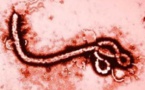Ebola-Eva Marie Coll Seck n'est plus sereine: « C’est une épidémie qui ne va peut être pas épargner le Sénégal »