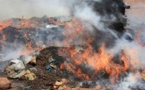 Thiès : La Douane incinère 300 kg de cocaïne …